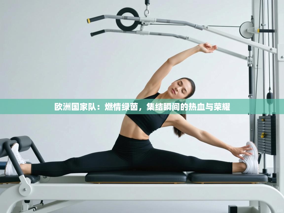 欧洲国家队:燃情绿茵,集结瞬间的热血与荣耀 第2张